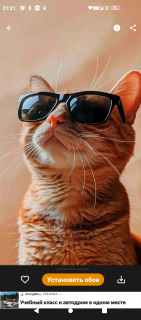 -Котик-в-Очках-1-
