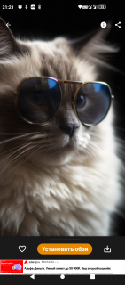 -Котик-в-Очках-2-