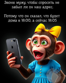 IMG_20260608_155203_584