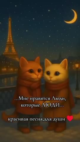 video_15008998951545