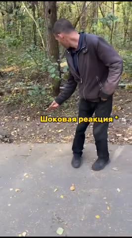Белочки