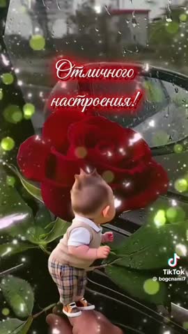 5bee281cf9c332229775d4d11a45e7d9