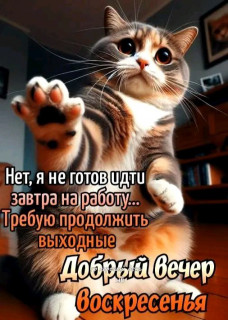 -Выходные-
