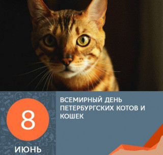 -Петербургские-Коты-