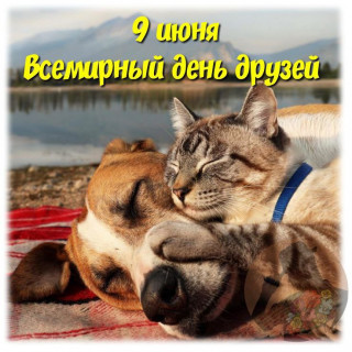 -День-Друзей-