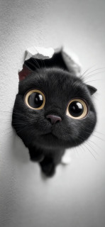 0KSutuMB84fqFUJC4Y4ihcQTCxZmBSLvlp12HHt7yjB12uh4S7qUIE-s2rzZb7ow3ElDwKVcB2A6nuullYjZNvdO