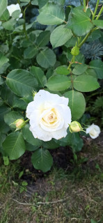 IMG_20260613_162833
