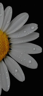 oHscWlqG7pTc0mc0t-FTJ4ojrAIM-0tekXnNA4obFme1KityDEsIorsHjPUCi_wJ4t_HjXv91o2mS4MfhMhR6Fyn