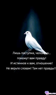 -434433-Поступки-
