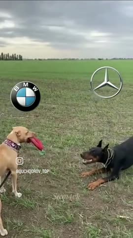 VID_20260605_114804_939