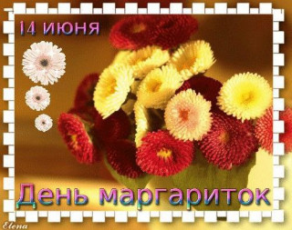 -Маргаритки-