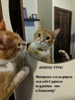 -Зеркало-