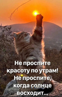 -Красота-