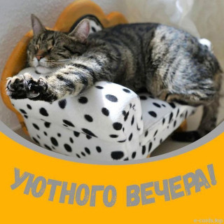 -Потягушки-