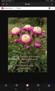 -Цветы-Душа-
