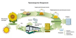 Круговорот