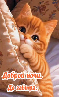 -До-Завтра-