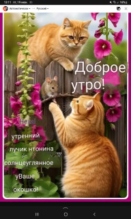 -Доброе-утро-