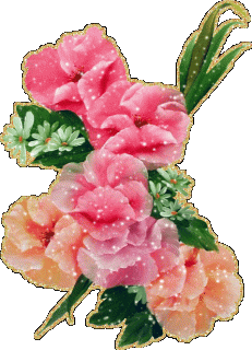 a92a57ebb7a88acb991e0cd920719e65
