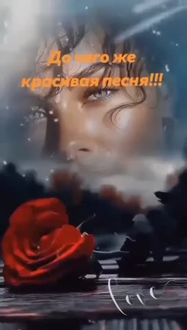 video_13523907119764