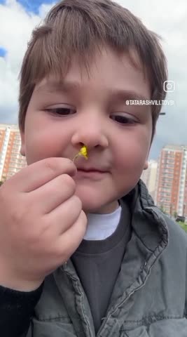 VID-20260602-WA0000