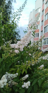 IMG_20260624_205816