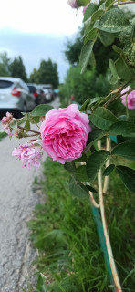 IMG_20260624_205926