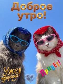 -Доброе-утро-
