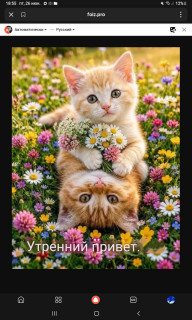 -Приветик-