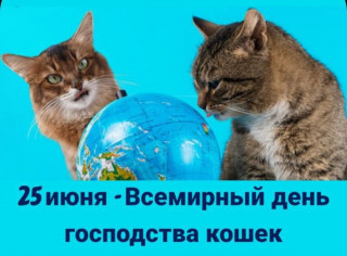 -Господство-Кошек-