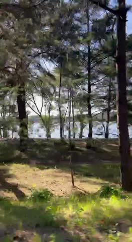 -5155534337850917784