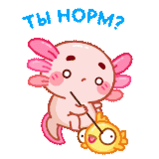 103norm