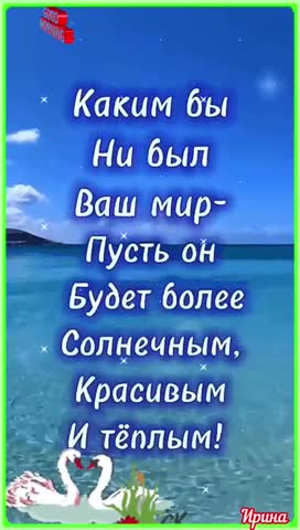 video_9644508187276