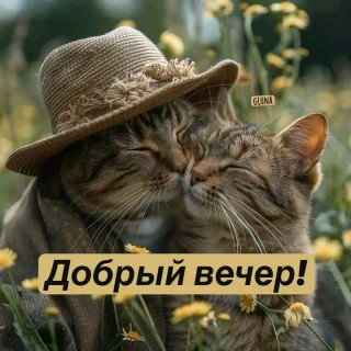 -Дружба-