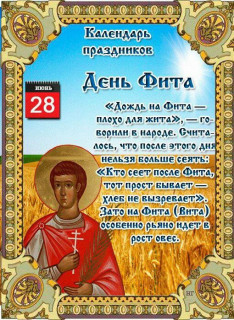 -День-Фита-