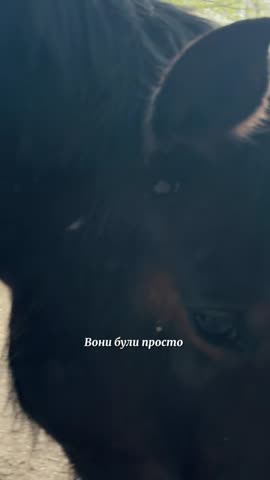 v14044g50000d7iuigvog65oevkljc3g
