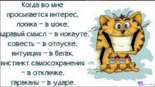 -441798-Интерес-
