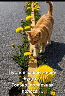 -Все-хорошо-
