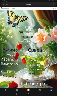 -Мирная-Среда-