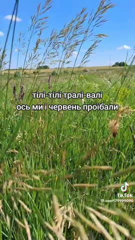 Тарам пам пам