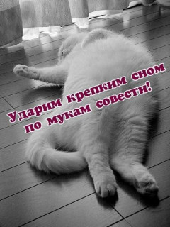 -Лозунг-Дня-