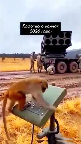 vid_20265445