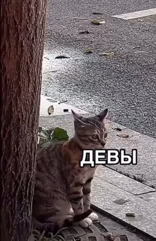 7c10e4fa826f6e63e29f6d989ed8ecda_720w