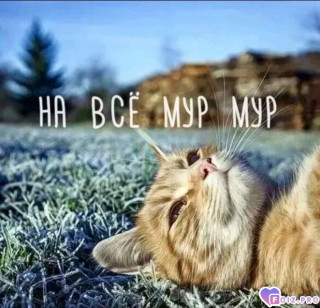 -412919-
