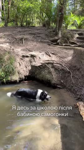v1c044g50000d7oh2lfog65tdp0jnt40