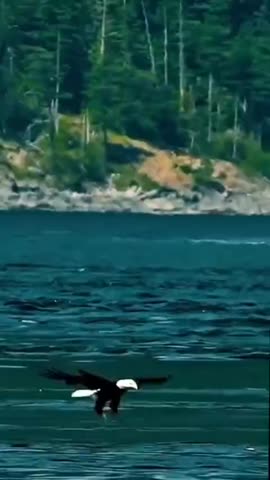 VID_20260714_140429_926