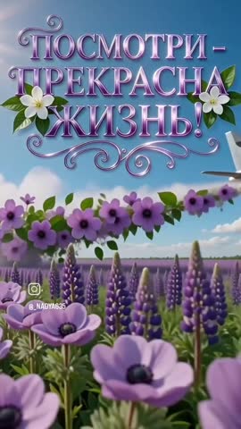 Доброе утро