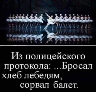 IMG_20260715_083653_782