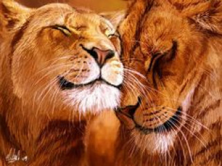 e37e164e2475977e4adb23b3a5685a10