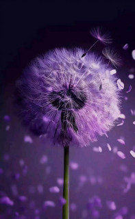 eFG7GCHFMYEM7ZAmuMPZyuNVCoWPd_88T1SP7Ywr7GxD_ItP2BDjiqXUJCnSa5JKIcer41jkuNYagLwBZO_f8Gju